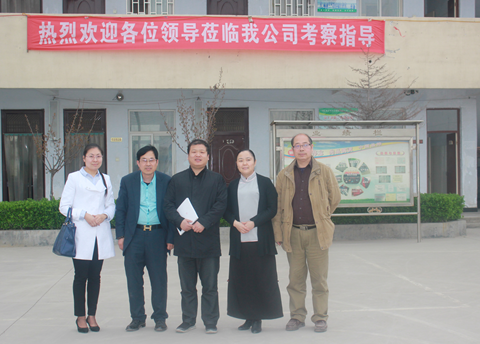 《家庭美德》，擁抱偉志企業(yè)