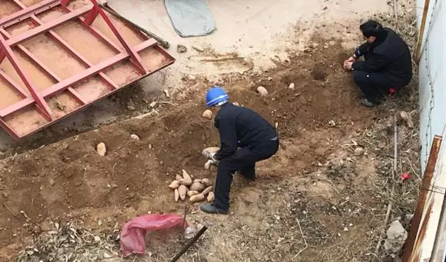 鋼模板廠家播下希望，收獲果實