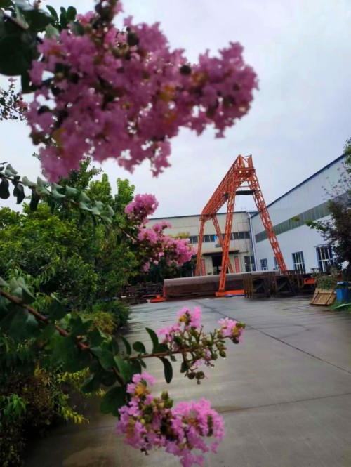 紫薇花開時，偉志迎貴客