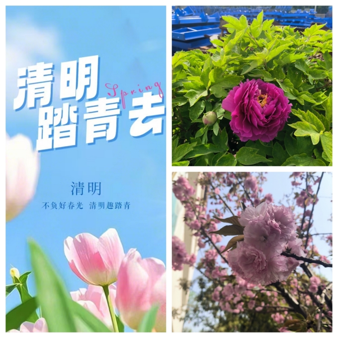 踏春的季節，美麗的偉志模板